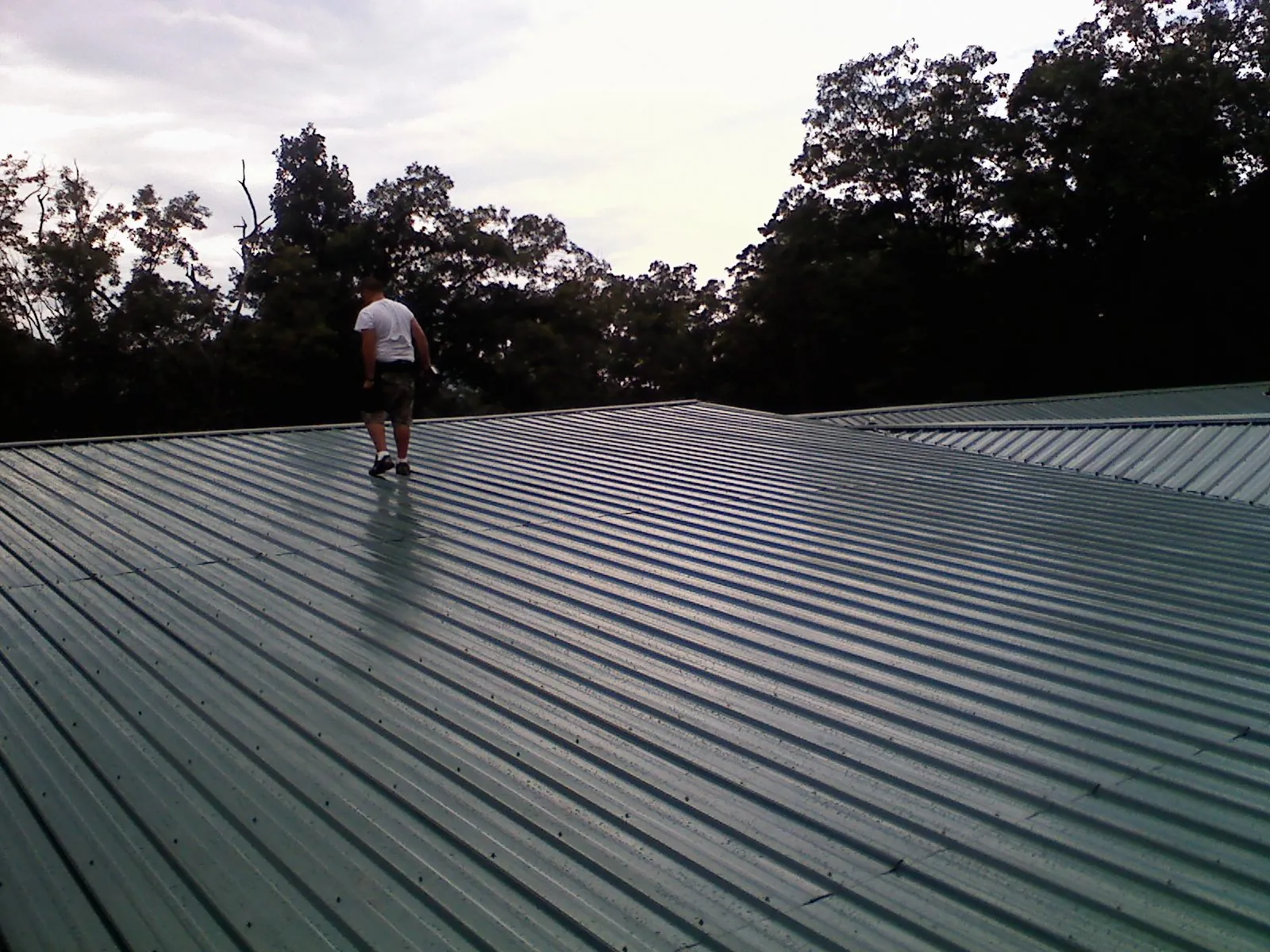 Roofer walking a wide expanse of new green metal roofing in Zimmerman